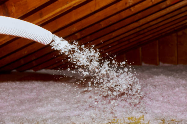 Best Insulation Maintenance and Repair in Trappe, PA