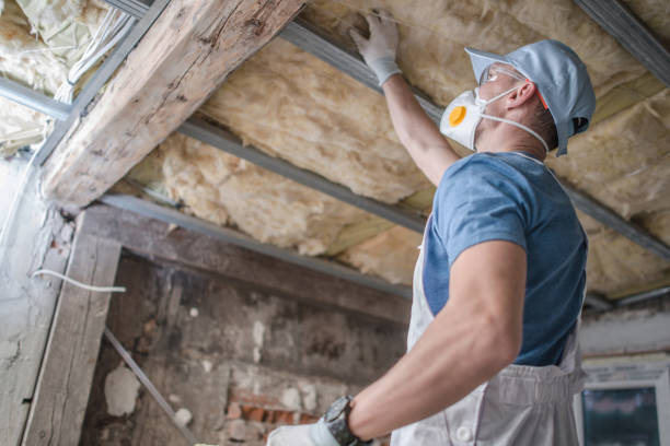 Professional Insulation Contractor in Trappe, PA