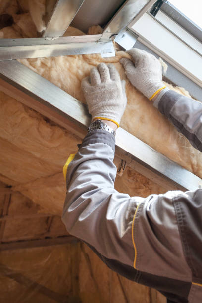 Types of Insulation We Offer in Trappe, PA