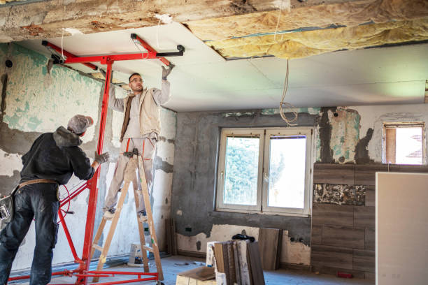 Best DIY Insulation Kits and Guidance in Trappe, PA
